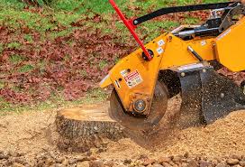 Best Leaf Removal  in Monrovia, CA